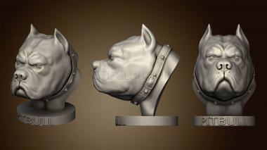 3D model PITBULL (STL)